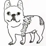 Meiの画像