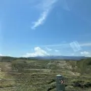 ホアンくまの画像