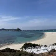 mocaの画像