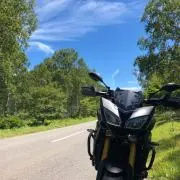 ダイクの画像