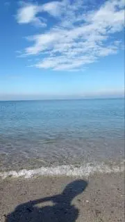kotetuの画像