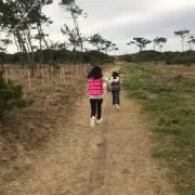 M＆Mの画像