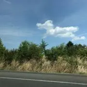 lu lu Kira★即購入歓迎！の画像