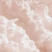 りりの画像
