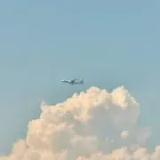 おこめの画像
