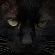 めの画像
