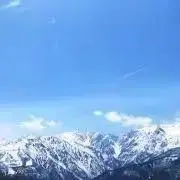 Shiroの画像