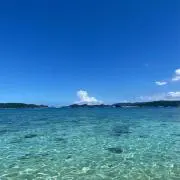 KRWの画像