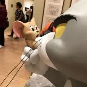 d-sudamasuo