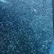 てんつみ