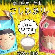 関東、東海、信越、関西地方限定 令和7年富山県産コシヒカリ（白米4.5