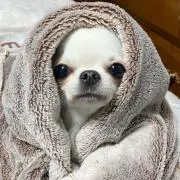 bebe...