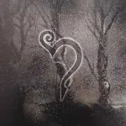 紫音の画像