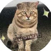 かりん