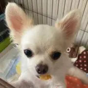 和夫
