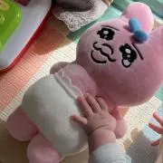 ぽむぽむちの画像