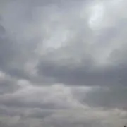 プロテインの画像