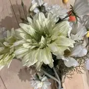 ちょこの画像
