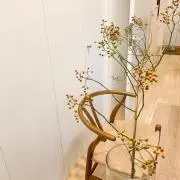 umiの画像