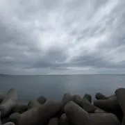 ゆうの画像