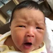 balの画像
