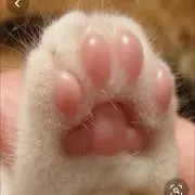 youの画像