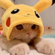 ooo