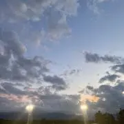ひかりももの画像