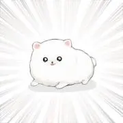 ポメラニャン⑅﻿plof必読の画像