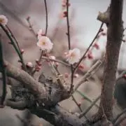 こう。の画像