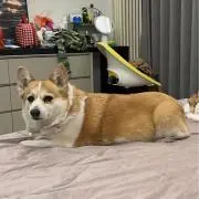 ハサウェイの画像