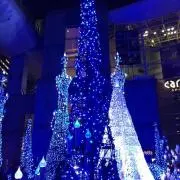 COCOの画像