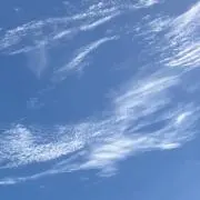 ばんの画像