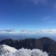 yamaturuの画像