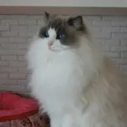 とも