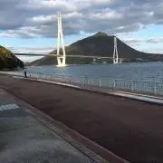 ヨッシーの画像