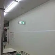 チャッピー♪(´ε｀ )の画像