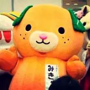 きょーわ。