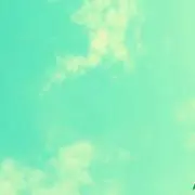 sonoの画像