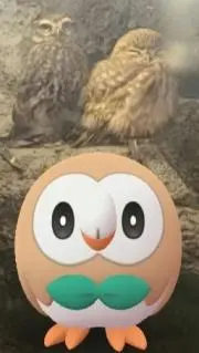 はてんの画像