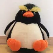ペンギンの画像