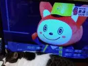 クロミツ