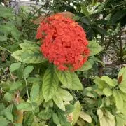 断捨離中※※※の画像