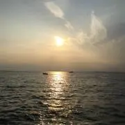 ちょこ(*^^*)
