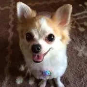 katsumi