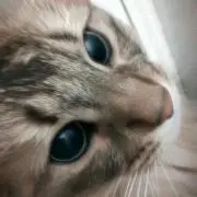 まやママ
