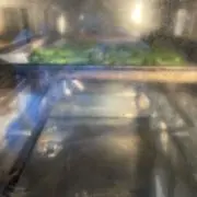 珍からのムー