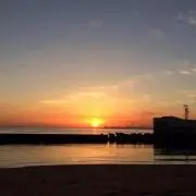 ＊引っ越しセール中＊の画像