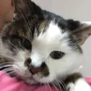 えりちゃん