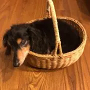 Eマークの画像